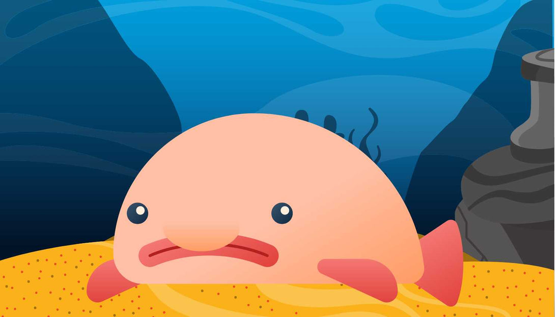 6 créatures qui vivent dans les fonds marins