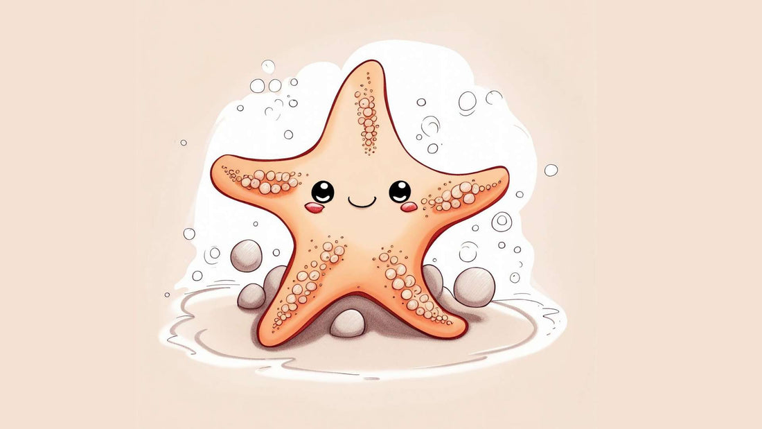 Étoile de mer dessin - Mer Aux Trésors