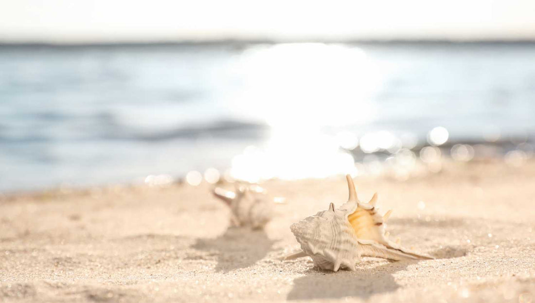 Le coquillage tahitien