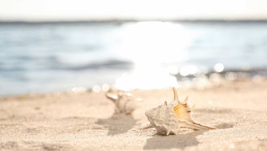 Le coquillage tahitien