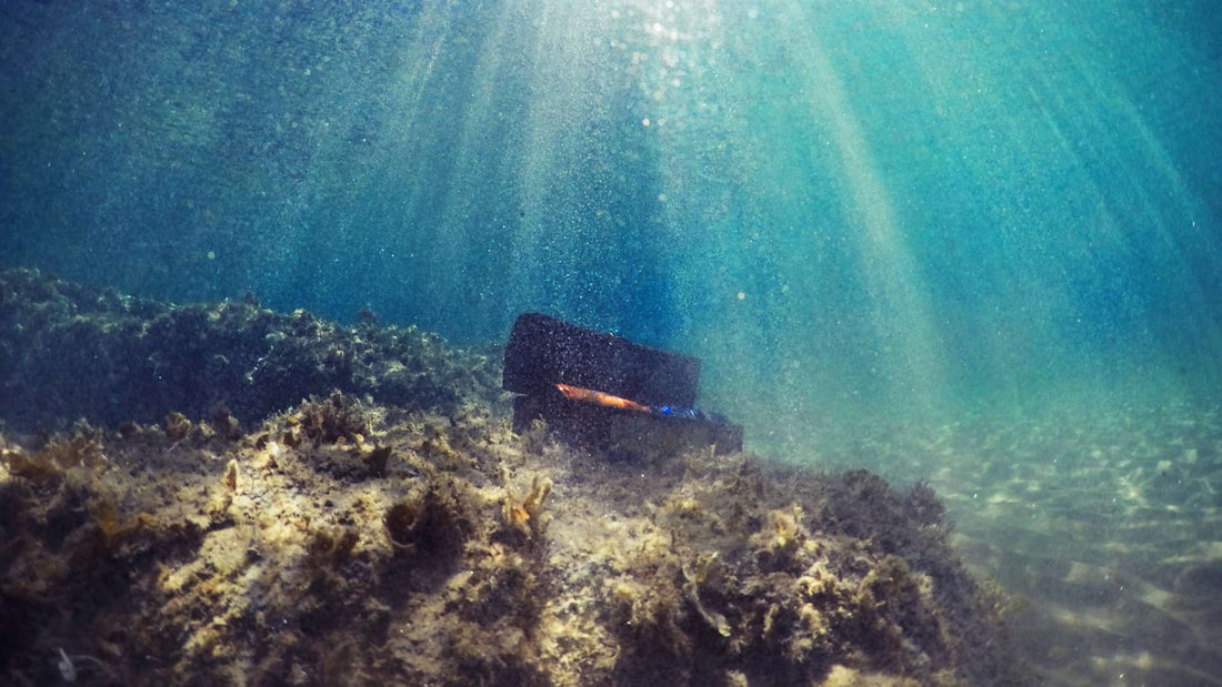 Treasures of the mystic sea
