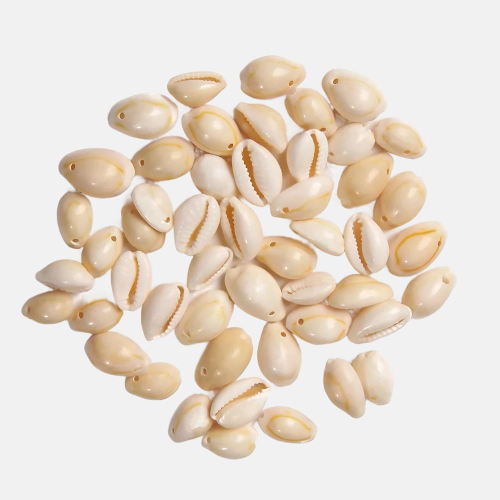 Coquillages pour bijoux (x50)