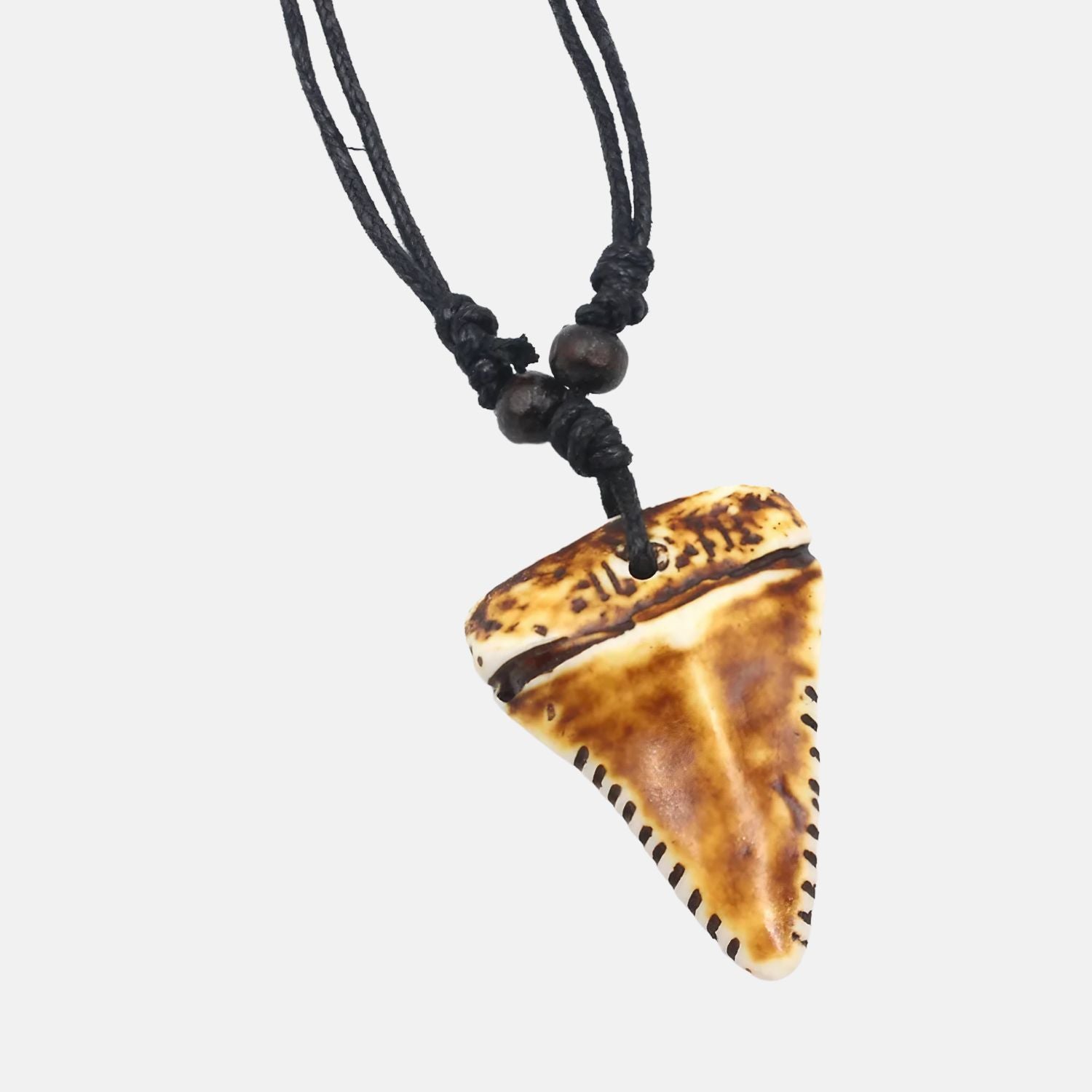 Deux crocs de la mer, suspendus comme des fragments d'âme marine, gravés par les vents salés du large