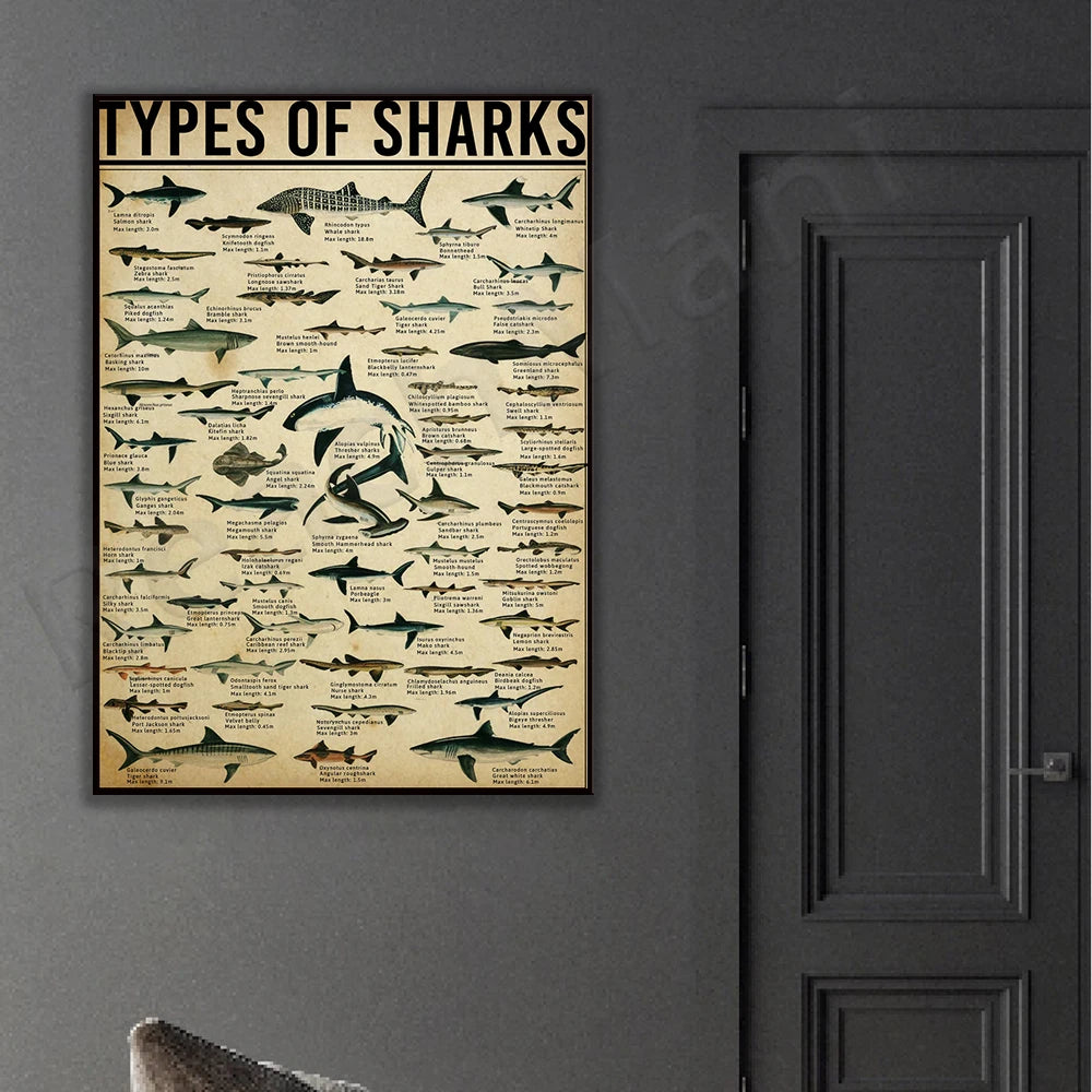 Poster les types de requins SHARKTITAN