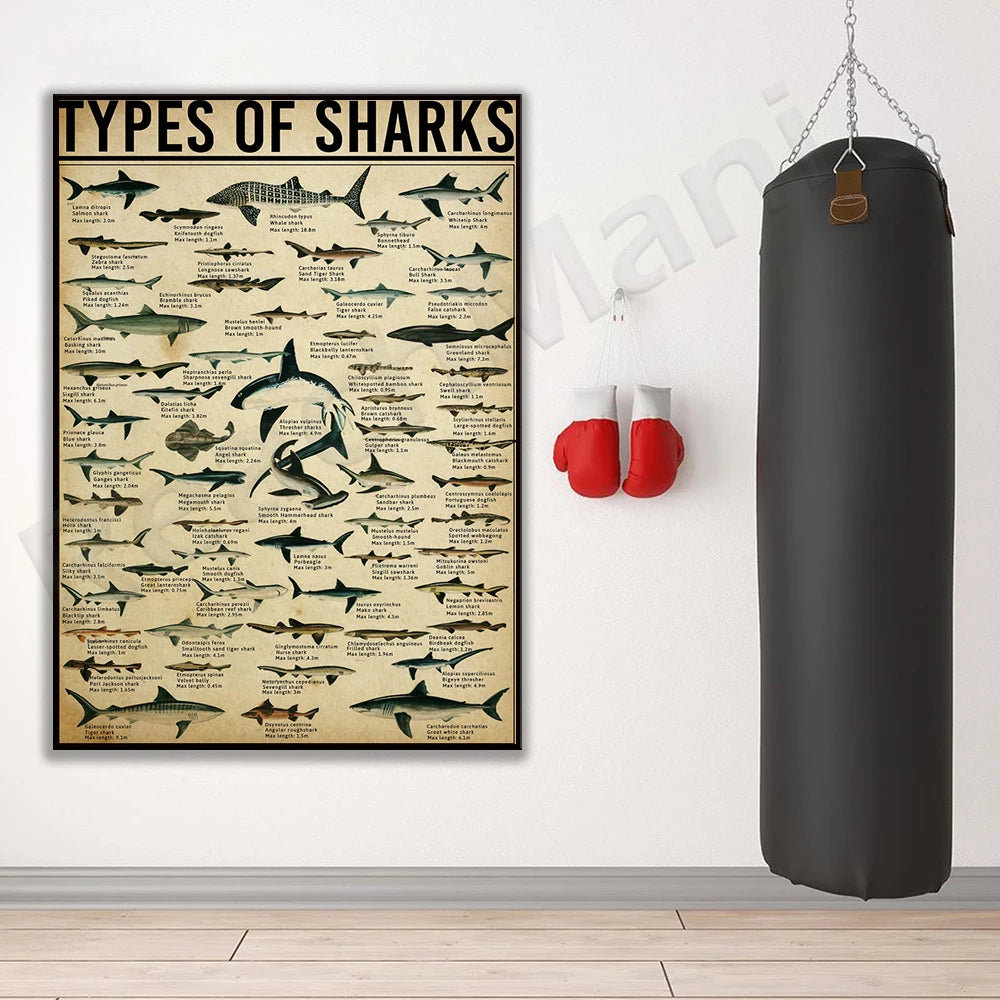 Poster les types de requins SHARKTITAN
