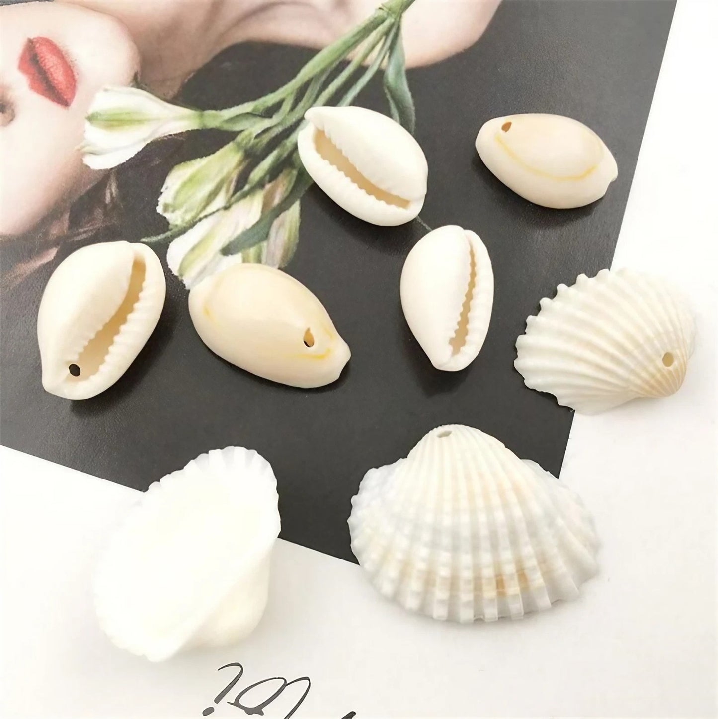 Coquillages pour bijoux (x50)
