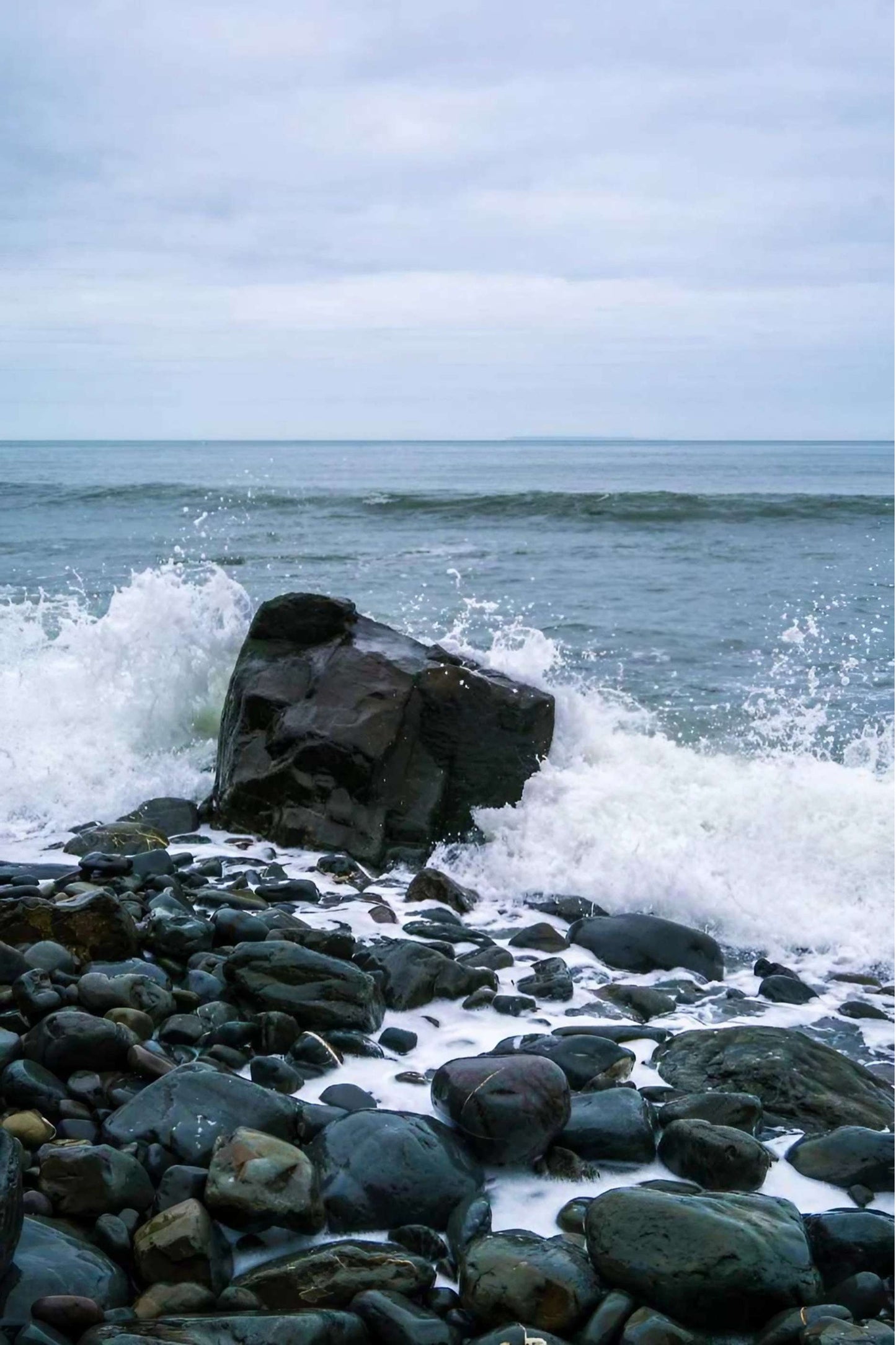 Tableau bord de mer THALASSA