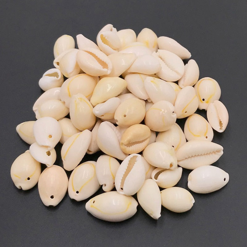 Coquillages naturels WAI (x50) - Mer Aux Trésors