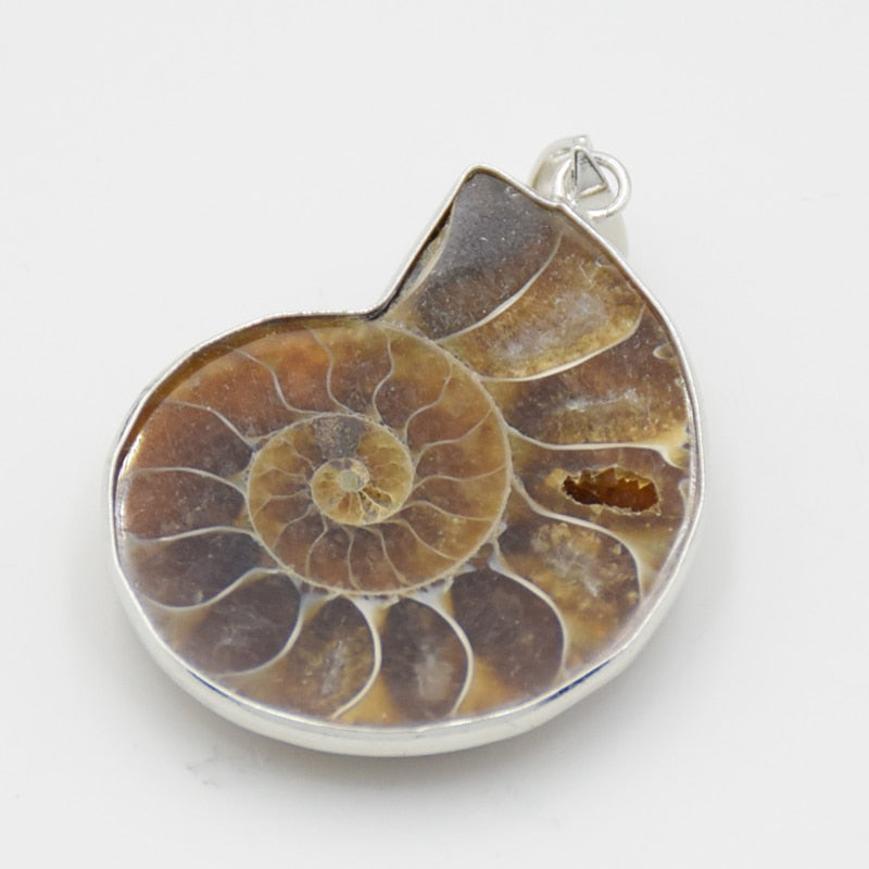Pendentif coquillage ammoniac I'A I'A - Mer Aux Trésors
