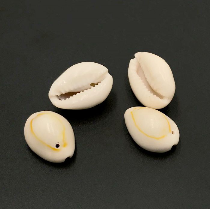 Coquillages naturels WAI (x50) - Mer Aux Trésors