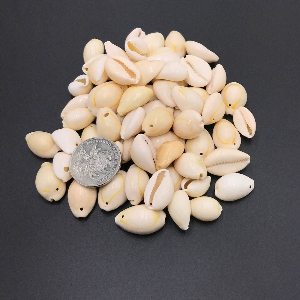 Coquillages naturels WAI (x50) - Mer Aux Trésors