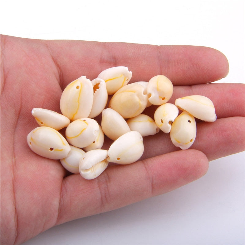 Coquillages naturels WAI (x50) - Mer Aux Trésors