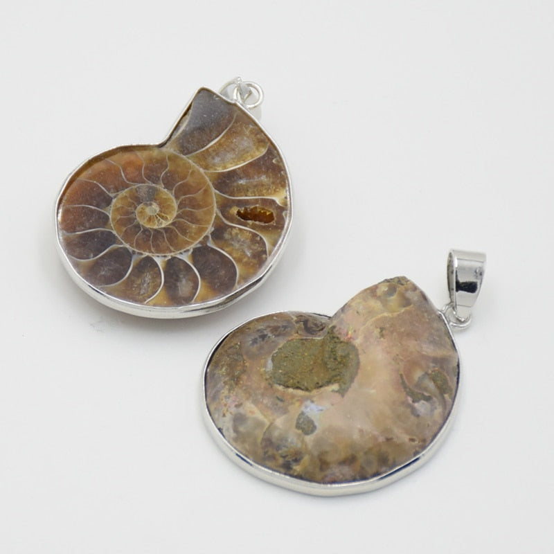 Pendentif coquillage ammoniac I'A I'A - Mer Aux Trésors