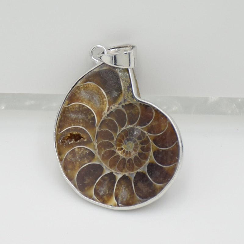 Pendentif coquillage ammoniac I'A I'A - Mer Aux Trésors