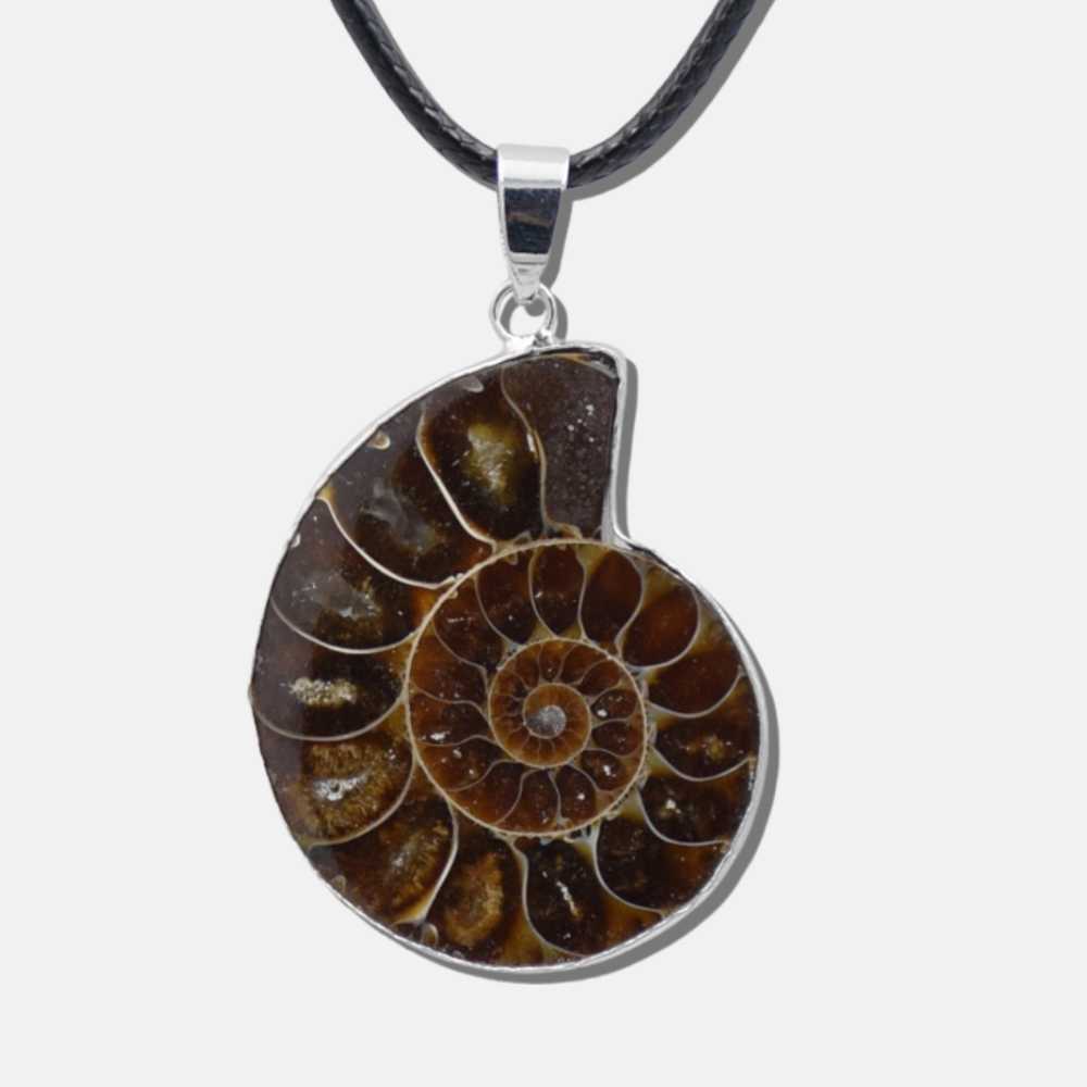 Pendentif coquillage ammoniac I'A I'A - Mer Aux Trésors