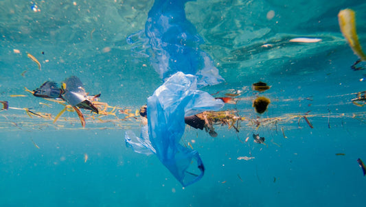 La pollution marine : un défi environnemental majeur pour notre planète
