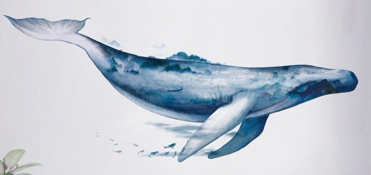 Sticker baleine - Mer Aux Trésors