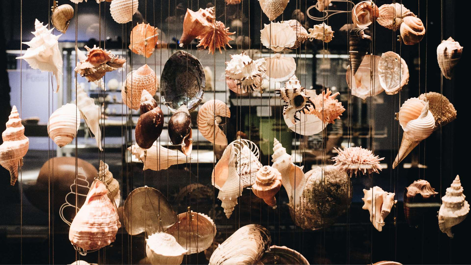 Décoration coquillage - Mer Aux Trésors