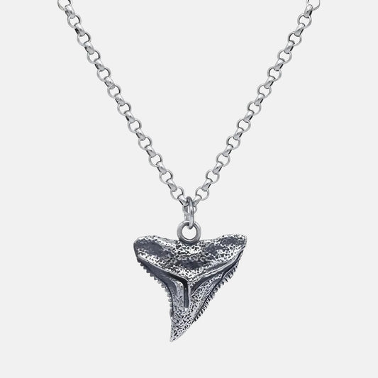 Shark tooth necklace in real silver