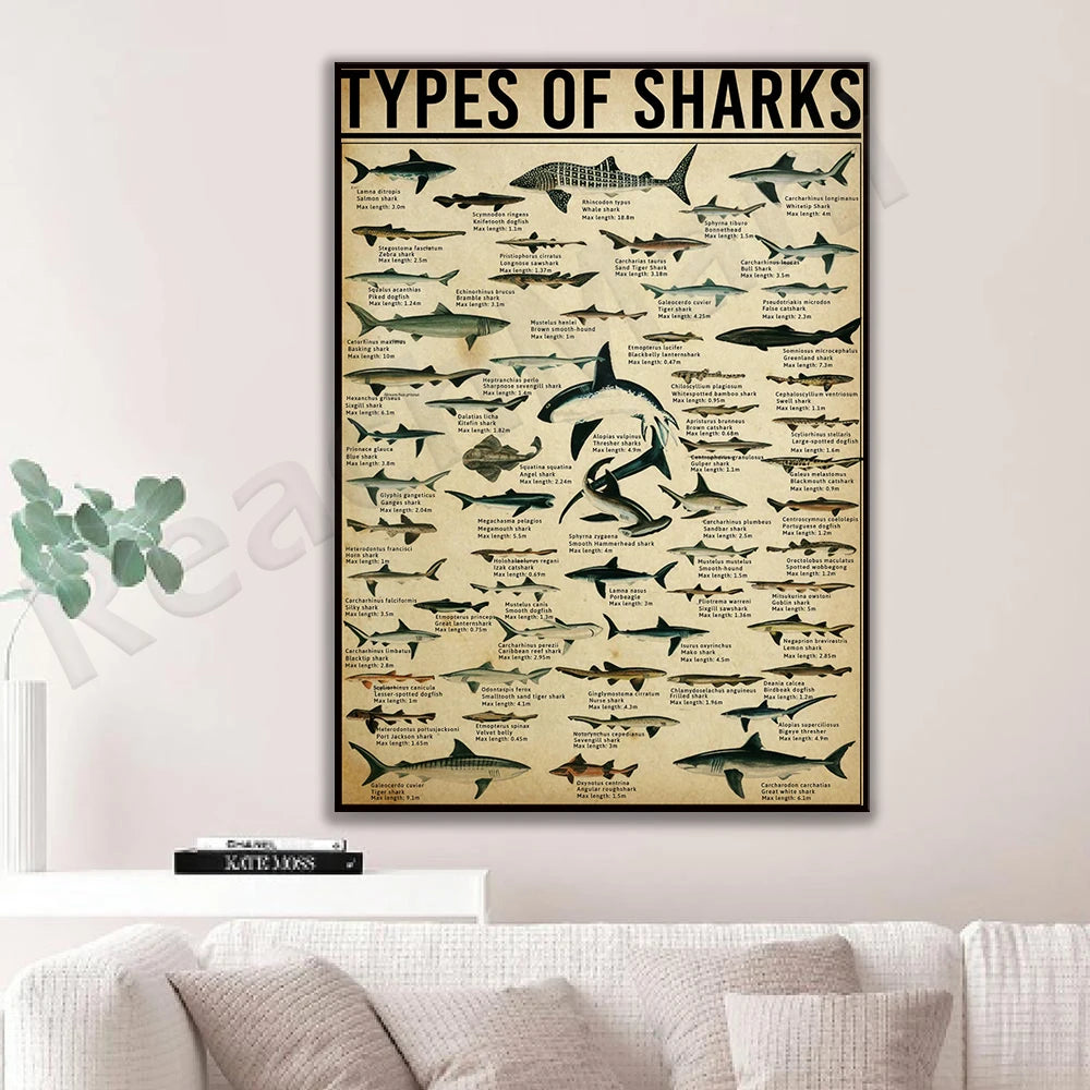 Poster les types de requins SHARKTITAN