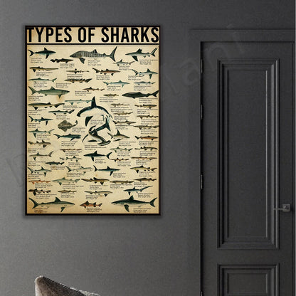 Poster Types of Sharks SHARKTITAN