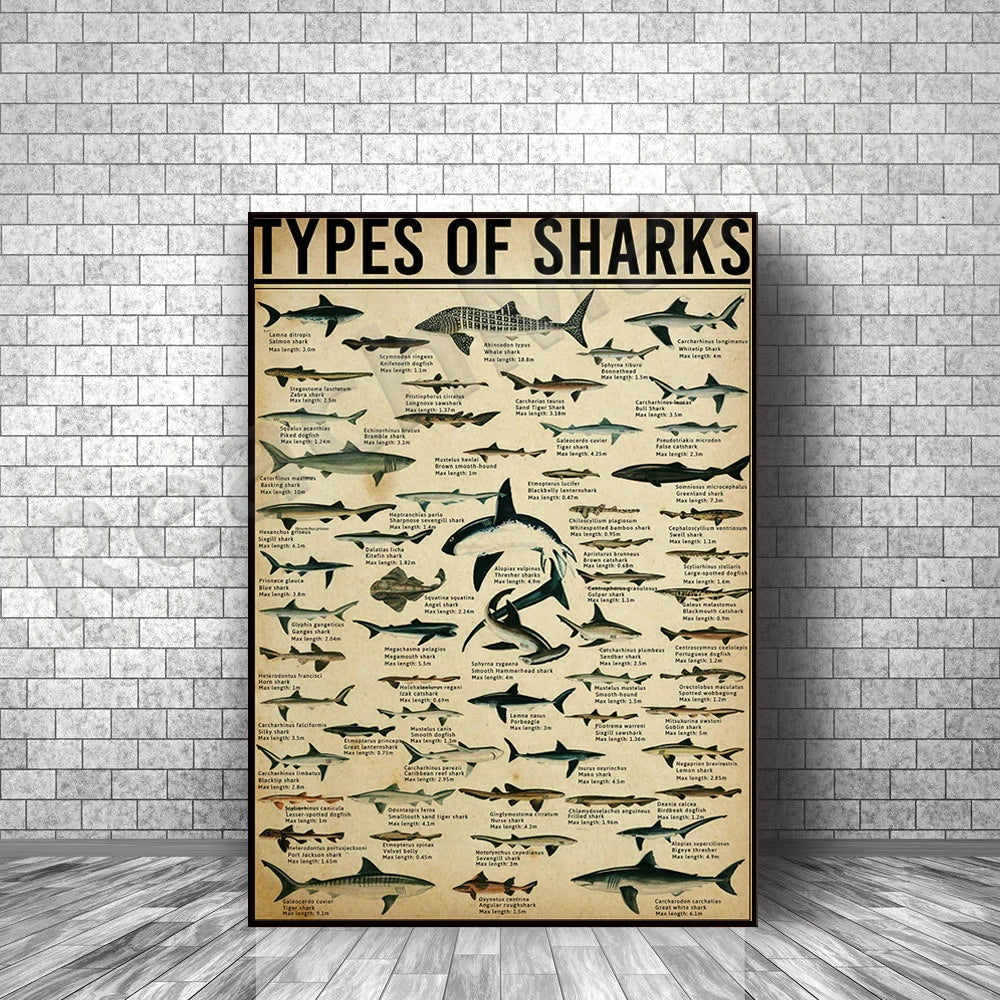 Poster les types de requins SHARKTITAN