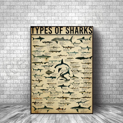 Poster Types of Sharks SHARKTITAN