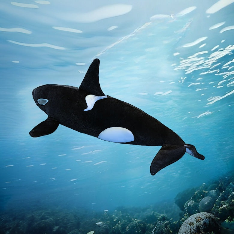 Peluche MOBY l'orque - Mer Aux Trésors