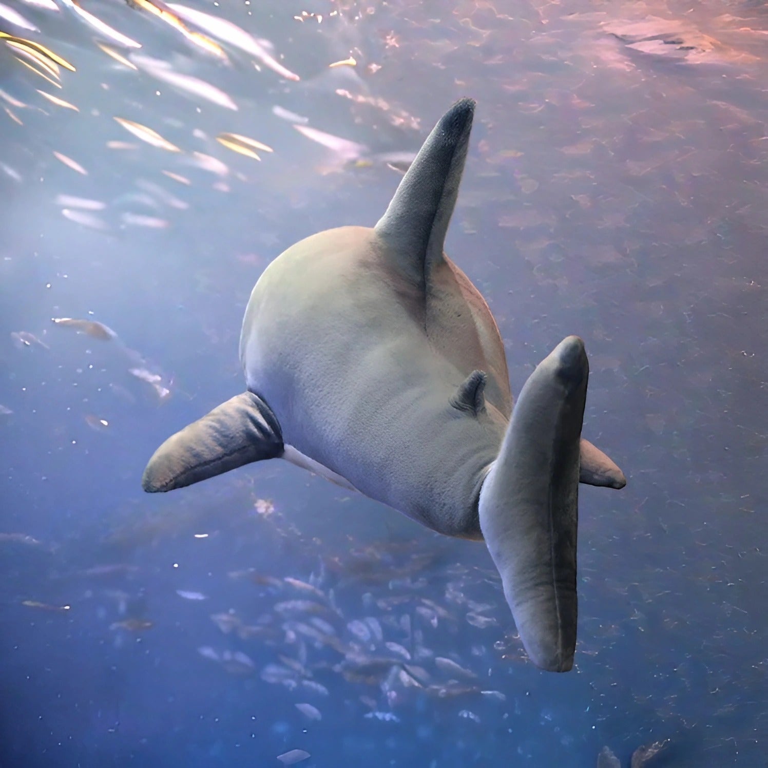 Peluche BRUCE le grand requin blanc - Mer Aux Trésors